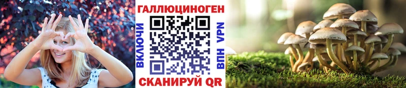 Псилоцибиновые грибы GOLDEN TEACHER  что такое   Алзамай 
